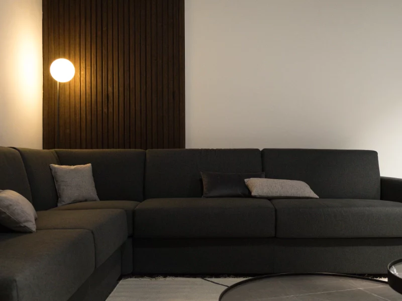 Agencement intérieur coussins et canapé