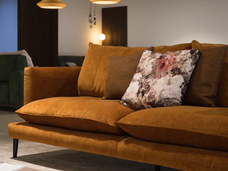 Agencement intérieur canapé